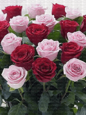 flower for you - Gratis geanimeerde GIF