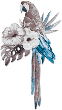 soave deco summer bird tropical parrot flowers - kostenlos png