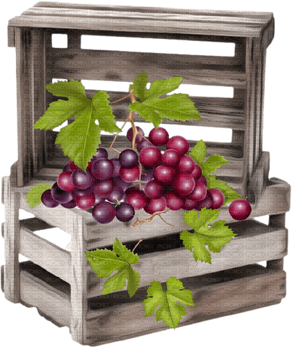 box of red  grapes - 免费PNG