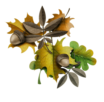 automne feuilles deco autumn leaves - PNG gratuit
