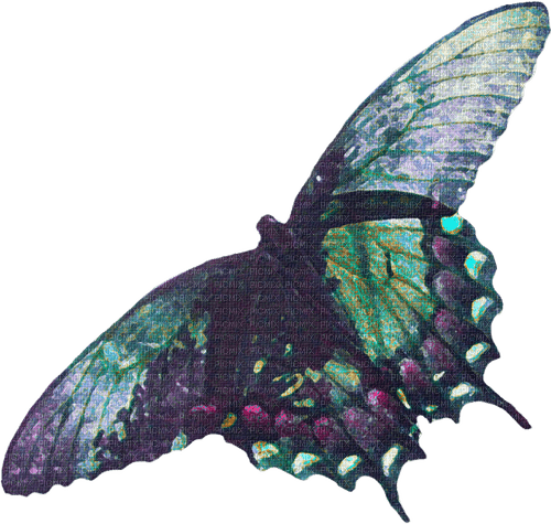 Butterfly purple green artsy creative - безплатен png