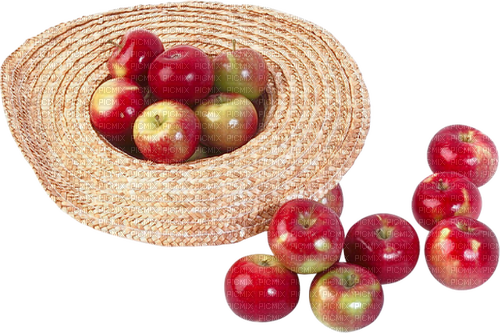Apples Pelageya