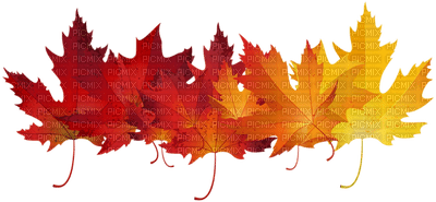 Kaz_Creations Autumn Fall Leaves Leafs - nemokama png