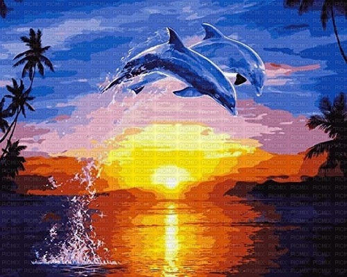 les dauphins - фрее пнг