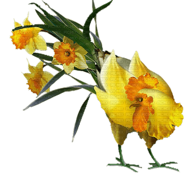 Flowers yellow bp - Free PNG