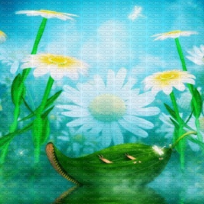 pond boat fantasy elf fee fairy flower fleur background landscape  summer ete sommer fond  paysage - gratis png