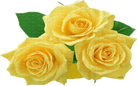 yellow roses 3 - PNG gratuit