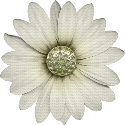 kikkapink deco daisy winter white spring - PNG gratuit