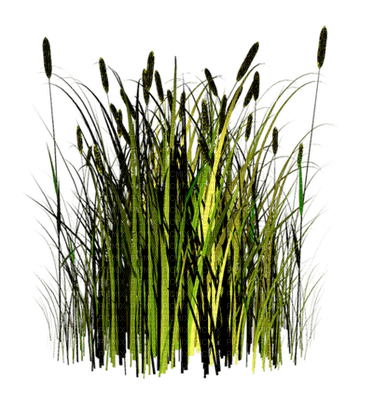 Kaz_Creations Deco Flowers Garden Grass - безплатен png