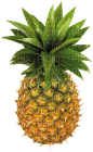 Kaz_Creations Fruits - PNG gratuit