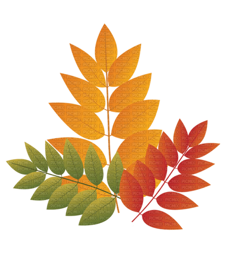 autumn Bb2 - безплатен png