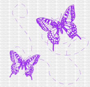 papillon violet - Free animated GIF