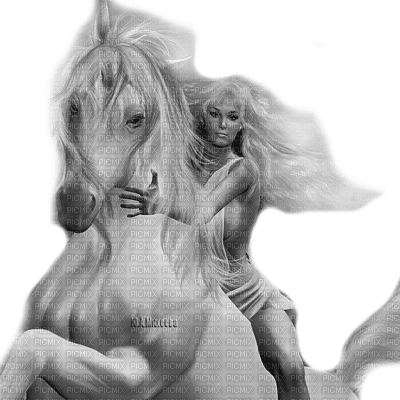 Y.A.M._Fantasy woman girl horse black-white - png ฟรี