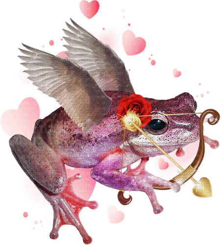 cupid frog - Free PNG