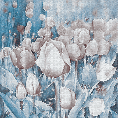 soave background animated flowers spring  tulips - Animovaný GIF zadarmo