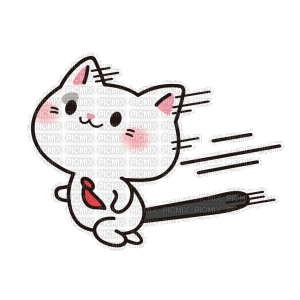 Cat Go - GIF animado gratis