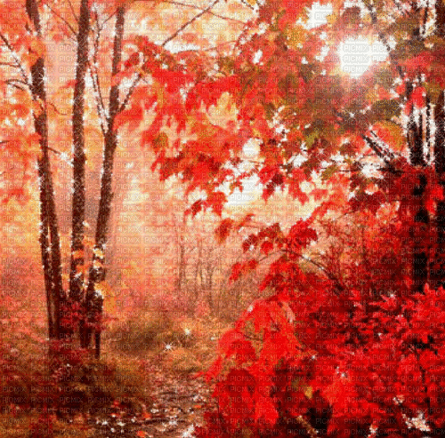 animated autumn background - GIF animé gratuit