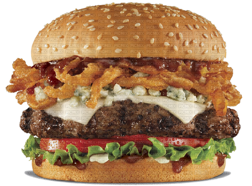 GIANNIS TOUROUNTZAN - Burger - Free PNG