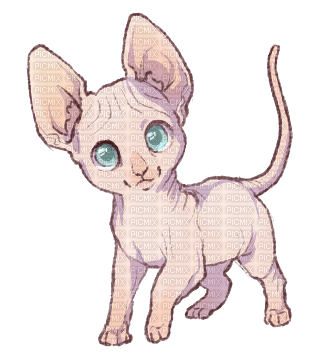 Sphynx Cat - darmowe png