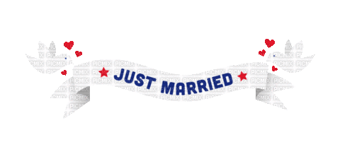 Just Married.Text.Pigeon.Gif.Victoriabea - Animovaný GIF zadarmo