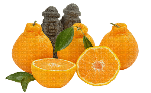 orange mandarin fruit 제주도 - бесплатно png