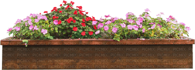 Blumenkasten - PNG gratuit