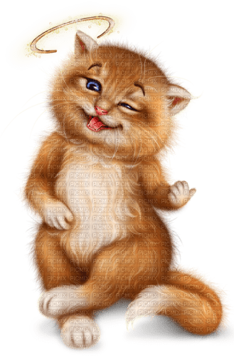 Gato con aureola - darmowe png