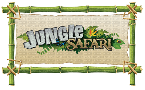 Logo safari,  Pelageya - gratis png