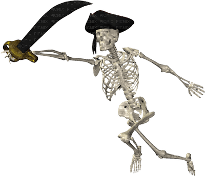 pirate skeleton bp - ilmainen png