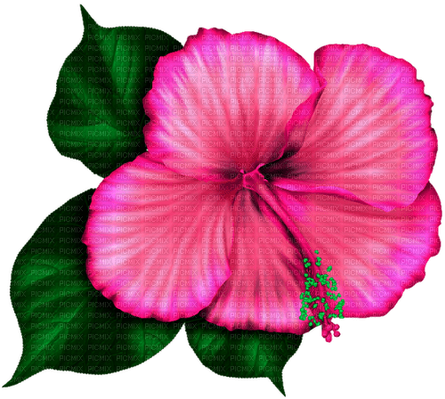 Tropical.Flower.Pink - kostenlos png