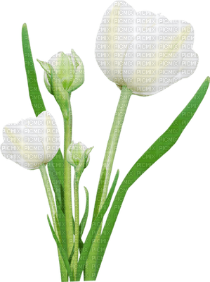 Kathleen Reynolds Grass Flowers - PNG gratuit