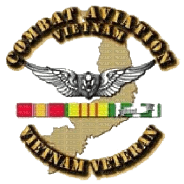 NAM Combat Aviation Vet PNG - darmowe png