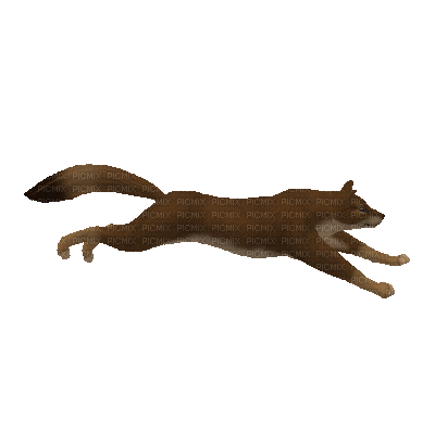 running wolf - 無料のアニメーション GIF