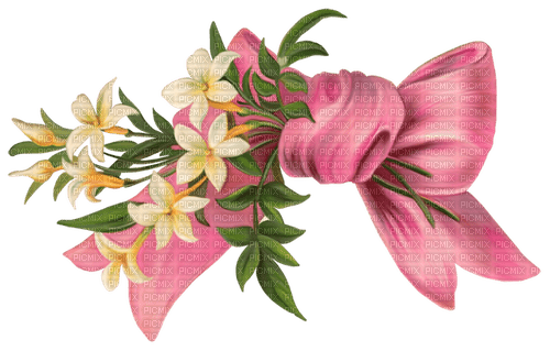 Blumen Schleife - zdarma png