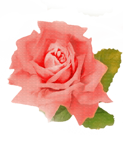 vintage rose - ilmainen png