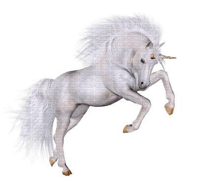 unicorn, winged unicorn bp - zdarma png