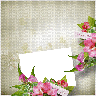 spring printemps flower fleur blossom fleurs blumen  tube frame cadre rahmen overlay fond background - 無料のアニメーション GIF