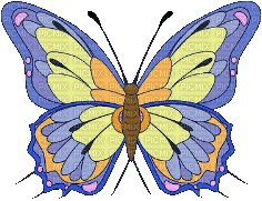 butterfly papillon schmetterling - Бесплатный анимированный гифка