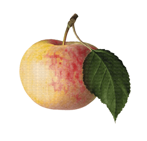 Vintage Apple - darmowe png