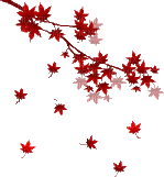 feuille - Free animated GIF