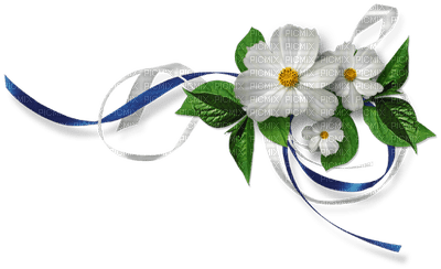 fleur branche - nemokama png