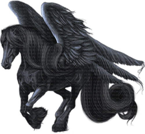pferd fantasy - бесплатно png