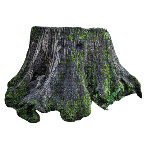 mossy stump - nemokama png