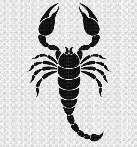 scorpion - png gratuito