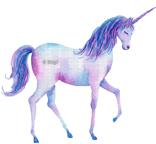 Y.A.M._Fantasy unicorn