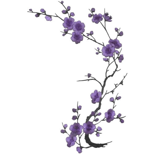 purple flowers deco - PNG gratuit