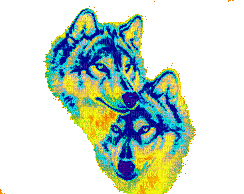 az loup wolf - Безплатен анимиран GIF