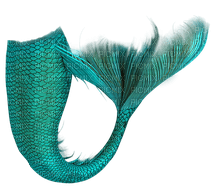 mermaid tail merenneito pyrstö - ücretsiz png