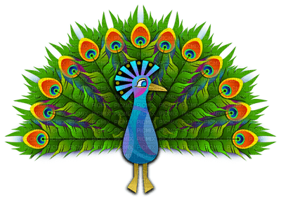 Kaz_Creations Peacock Peacocks Birds Bird - png gratuito
