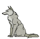 wolf howling - Darmowy animowany GIF